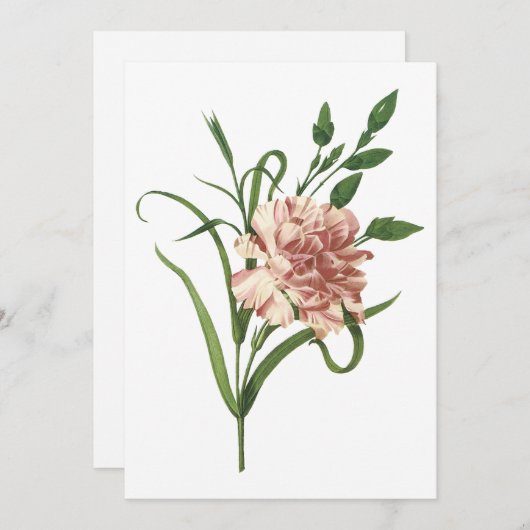 Invitation à la carnation (Devant / Derrière)