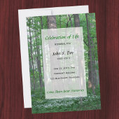 Invitation à la célébration de la forêt vierge