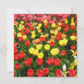 Invitation à la douche nuptiale des tulipes Mariag (Dos)