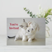 Invitation à la douche nuptiale Kitten Puppy (Debout devant)