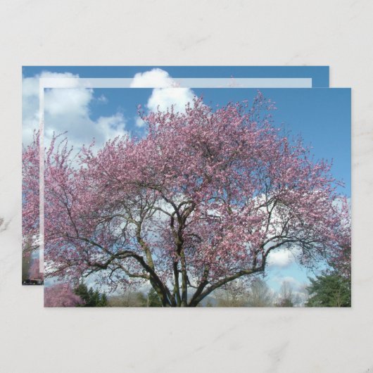 invitation à la fête d'anniversaire (Devant / Derrière)