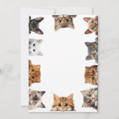 Invitation à la fête d'anniversaire de chaton, Let (Dos)