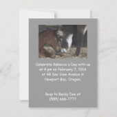 Invitation à la fête d'anniversaire de Silly Horse (Dos)