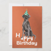 Invitation à la fête d'anniversaire du chien du La (Devant)