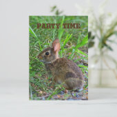 Invitation à la fête de bébé lapin (Debout devant)