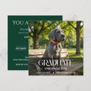 Invitation à la fête de fin d'études du chien Phot