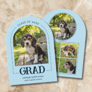 Invitation à la fête de fin d'études du chien Phot