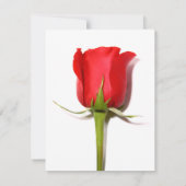 Invitation à la fête de la Rose rouge (Dos)