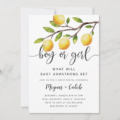 Invitation à la fête de révélation du sexe Thème C (Devant)