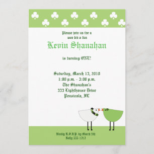 Invitation à la fête des oiseaux irlandais de la S