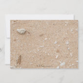 Invitation à la fête des requins (Dos)