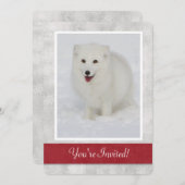 Invitation à la fête d'hiver de la Fox arctique (Devant / Derrière)