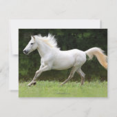 Invitation à la fête du 21e anniversaire du Cheval (Dos)