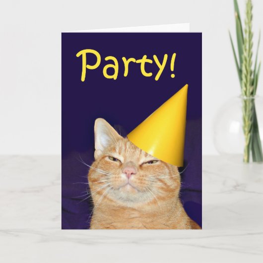 Invitation à la fête du chat (Devant)