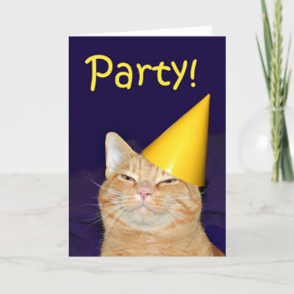Invitation à la fête du chat