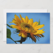 Invitation à la fête du Solstice d'été (Devant)