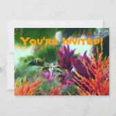 Invitation à la fête tropicale (Devant)