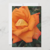 Invitation à la fleur rose orange (Dos)