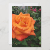 Invitation à la fleur rose orange (Dos)