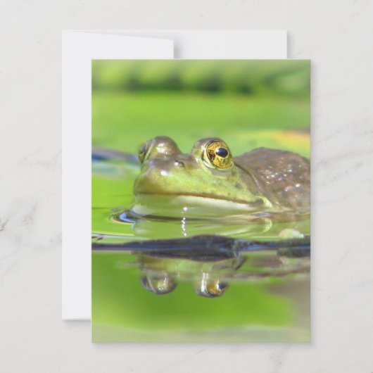 Invitation à la grenouille verte (Devant)