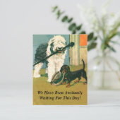 INVITATION À LA RETRAITE Animaux de compagnie Chie (Debout devant)