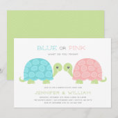 Invitation à la révélation du genre de tortue (Devant / Derrière)