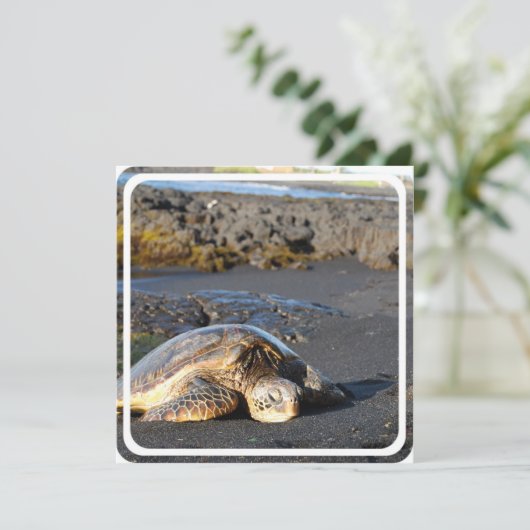 Invitation à la tortue de mer (Debout devant)