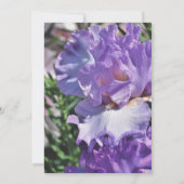 Invitation à l'anniversaire du Mariage d'argent (Dos)