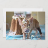 Invitation à l'anniversaire du porc et du gâteau (Dos)