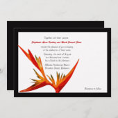 Invitation à l'Oiseau de paradis blanc/noir (Devant / Derrière)