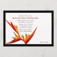 Invitation à l'Oiseau de paradis blanc/noir