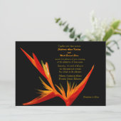 Invitation à l'Oiseau du paradis (Debout devant)