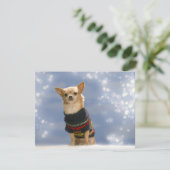 Invitation à Noël du Chihuahua (Debout devant)