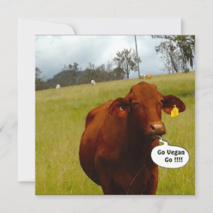 Invitation à un dîner vegan