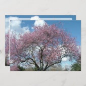 invitation à une fête d'anniversaire (Devant / Derrière)