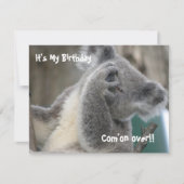 Invitation à une fête d'anniversaire de koala (Devant)