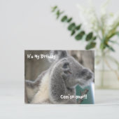Invitation à une fête d'anniversaire de koala (Debout devant)