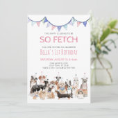 Invitation à une fête d'anniversaire pour chiot So (Debout devant)