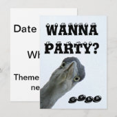 Invitation à une fête de folie avec des oiseaux sa (Devant / Derrière)