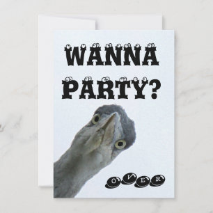 Invitation à une fête de folie avec des oiseaux sa