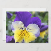 Invitation à une fête de mariage, fleur de pensée  (Dos)