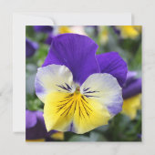 Invitation à une fête de mariage, fleur de pensée (Dos)