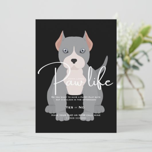 Invitation à une journée de jeu de pitbull (Debout devant)