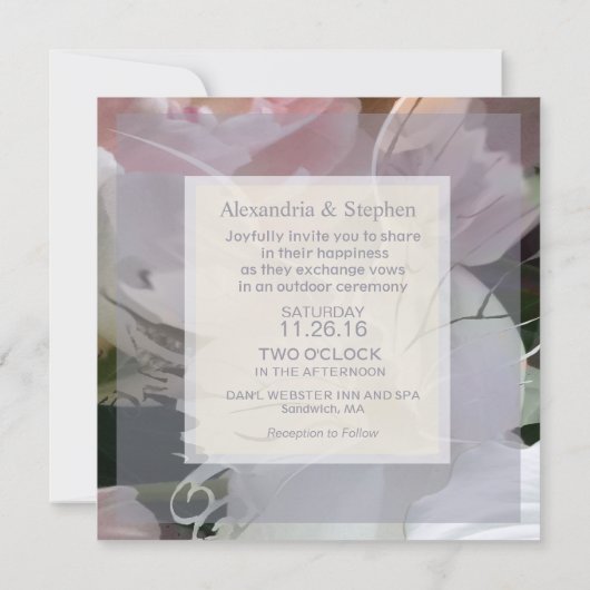 Invitation Abstraite fleur sauvage (Dos)