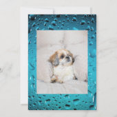 Invitation Adopt me dog custom 2 photo shelter animal rescue (Dos)