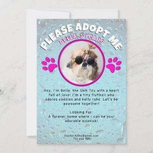 Invitation Adoptez mon chien personnalisé 2 photo refuge anim