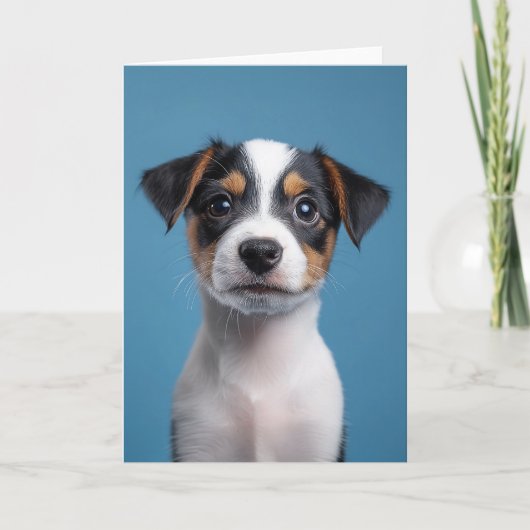 Invitation Adorable Jack Russell Terrier Portrait de chiot (Devant)