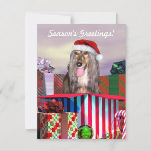 Invitation Afghanistan Hound Noël Surprise