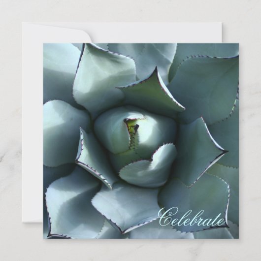 Invitation agave bleu (Devant)
