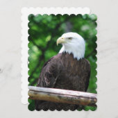 Invitation Aigle (Devant / Derrière)